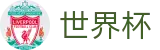 国际足联世界杯FIFA(中国)官网 - “成绩最好小组第三”实时积分榜